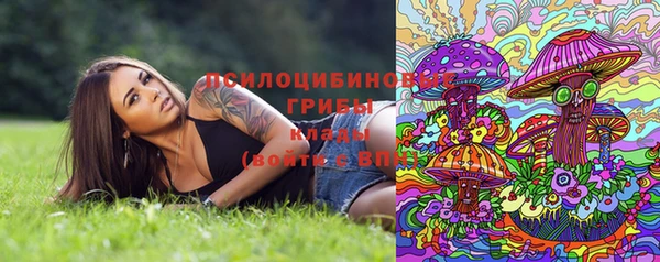 молекула духа Арсеньев
