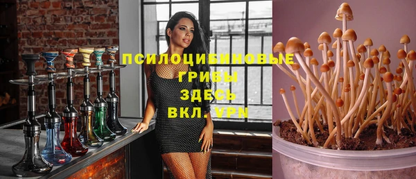 молекула духа Арсеньев