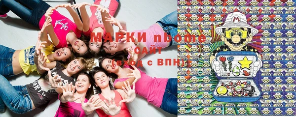 молекула духа Арсеньев
