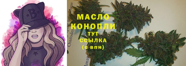 молекула духа Арсеньев