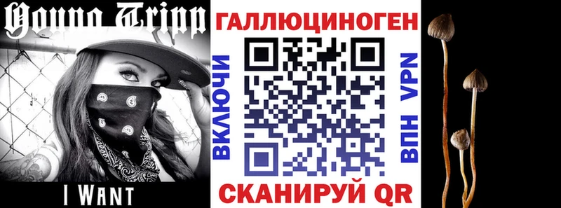 Галлюциногенные грибы Cubensis  hydra рабочий сайт  Алапаевск 